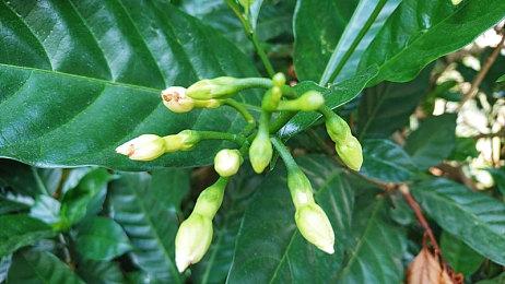 《乐高星球大战 天行者传奇》 蝉联英国实体游戏销售榜第一